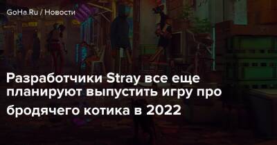 Разработчики Stray все еще планируют выпустить игру про бродячего котика в 2022 - goha.ru