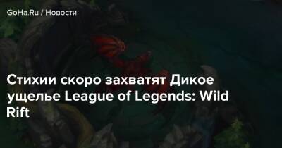 Стихии скоро захватят Дикое ущелье League of Legends: Wild Rift - goha.ru