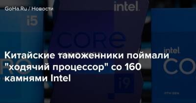 Китайские таможенники поймали "ходячий процессор" со 160 камнями Intel - goha.ru - Китай