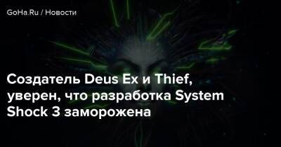Уоррен Спектор - Создатель Deus Ex и Thief, уверен, что разработка System Shock 3 заморожена - goha.ru - Сша