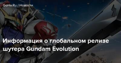 Gundam Evolution - Информация о глобальном релизе шутера Gundam Evolution - goha.ru