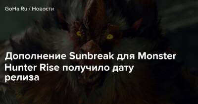 Дополнение Sunbreak для Monster Hunter Rise получило дату релиза - goha.ru