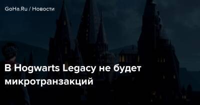 В Hogwarts Legacy не будет микротранзакций - goha.ru