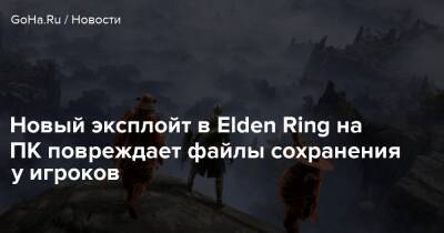 Новый эксплойт в Elden Ring на ПК повреждает файлы сохранения у игроков - goha.ru