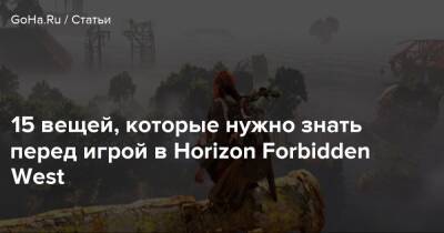 15 вещей, которые нужно знать перед игрой в Horizon Forbidden West - goha.ru