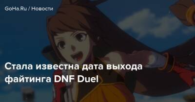 Стала известна дата выхода файтинга DNF Duel - goha.ru