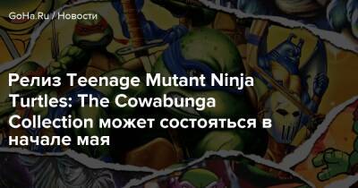Релиз Teenage Mutant Ninja Turtles: The Cowabunga Collection может состояться в начале мая - goha.ru