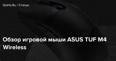 Обзор игровой мыши ASUS TUF M4 Wireless - goha.ru