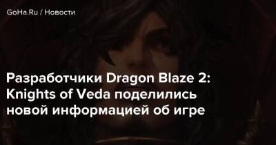 Разработчики Dragon Blaze 2: Knights of Veda поделились новой информацией об игре - goha.ru