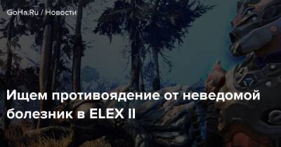 Ищем противоядение от неведомой болезник в ELEX II - goha.ru