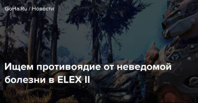Ищем противоядие от неведомой болезни в ELEX II - goha.ru