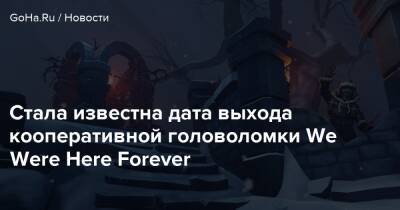 Стала известна дата выхода кооперативной головоломки We Were Here Forever - goha.ru