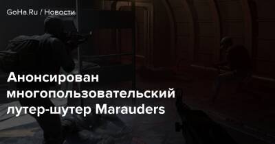 Анонсирован многопользовательский лутер-шутер Marauders - goha.ru