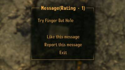 В Fallout: New Vegas теперь можно оставлять сообщения другим игрокам в стиле Dark Souls - stopgame.ru