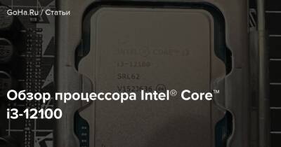 Обзор процессора Intel® Core™ i3-12100 - goha.ru