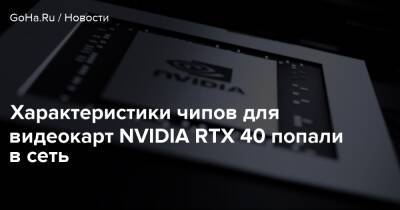 Характеристики чипов для видеокарт NVIDIA RTX 40 попали в сеть - goha.ru