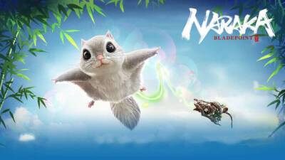 Забавный скин на крюк-кошку в виде белки-летяги появился в Naraka: Bladepoint - mmo13.ru