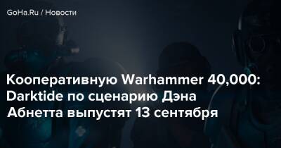 Дэна Абнетт - Кооперативную Warhammer 40,000: Darktide по сценарию Дэна Абнетта выпустят 13 сентября - goha.ru