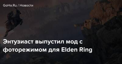 Энтузиаст выпустил мод с фоторежимом для Elden Ring - goha.ru