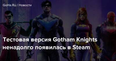 Тестовая версия Gotham Knights ненадолго появилась в Steam - goha.ru