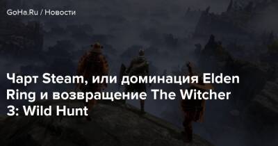 Чарт Steam, или доминация Elden Ring и возвращение The Witcher 3: Wild Hunt - goha.ru