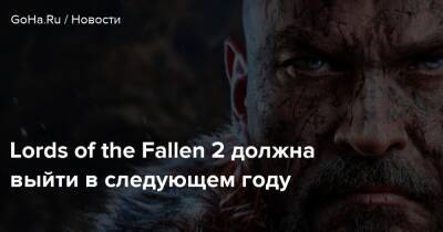 Ci Games - Lords of the Fallen 2 должна выйти в следующем году - goha.ru