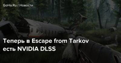 Теперь в Escape from Tarkov есть NVIDIA DLSS - goha.ru