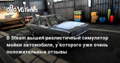 В Steam вышел реалистичный симулятор мойки автомобиля, у которого уже очень положительные отзывы - vgtimes.ru
