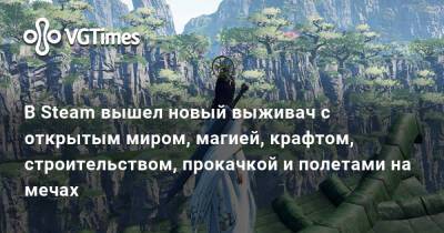 Мэтт Ривз - В Steam вышел новый выживач с открытым миром, магией, крафтом, строительством, прокачкой и полетами на мечах - vgtimes.ru