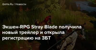 Экшен-RPG Stray Blade получила новый трейлер и открыла регистрацию на ЗБТ - goha.ru