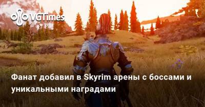 Фанат добавил в Skyrim арены с боссами и уникальными наградами - vgtimes.ru