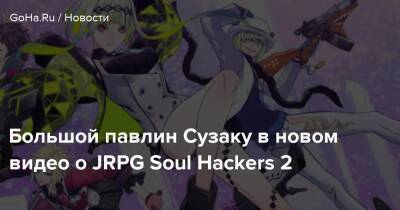 Большой павлин Сузаку в новом видео о JRPG Soul Hackers 2 - goha.ru