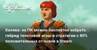 Халява: на ПК можно бесплатно забрать гибрид текстовой игры и стратегии с 80% положительных отзывов в Steam - vgtimes.ru