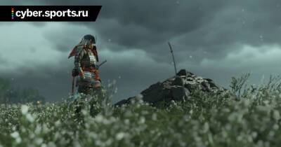 Разработчики прекратили поддержку Ghost of Tsushima – игра получила финальный патч - cyber.sports.ru