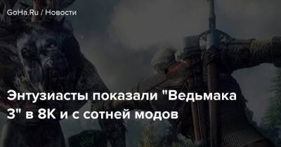 Энтузиасты показали “Ведьмака 3” в 8К и с сотней модов - goha.ru