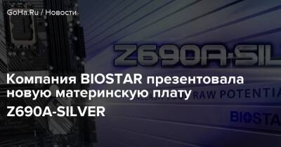Компания BIOSTAR презентовала новую материнскую плату Z690A-SILVER - goha.ru - Тайвань