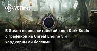 В Steam вышел китайский клон Dark Souls с графикой на Unreal Engine 5 и хардкорными боссами - vgtimes.ru
