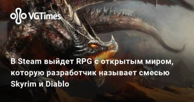В Steam выйдет RPG с открытым миром, которую разработчик называет смесью Skyrim и Diablo - vgtimes.ru