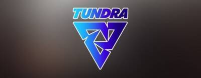 Tundra Esports прошла на ESL One Stockholm Major 2022 - dota2.ru - Stockholm