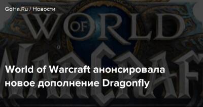 World of Warcraft анонсировала новое дополнение Dragonfly - goha.ru