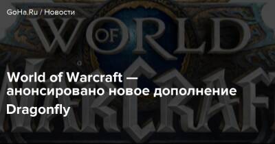 World of Warcraft — анонсировано новое дополнение Dragonfly - goha.ru