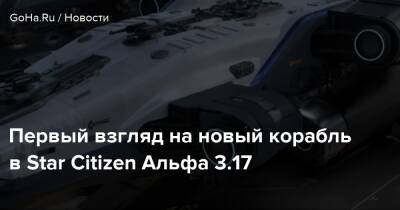 Первый взгляд на новый корабль в Star Citizen Альфа 3.17 - goha.ru