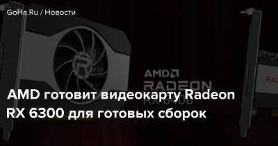 AMD готовит видеокарту Radeon RX 6300 для готовых сборок - goha.ru