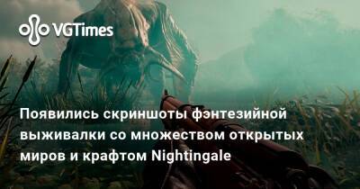 Появились скриншоты фэнтезийной выживалки со множеством открытых миров и крафтом Nightingale - vgtimes.ru - Англия