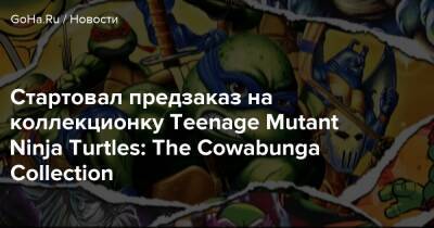 Кевин Истмен - Стартовал предзаказ на коллекционку Teenage Mutant Ninja Turtles: The Cowabunga Collection - goha.ru - Сша - Канада