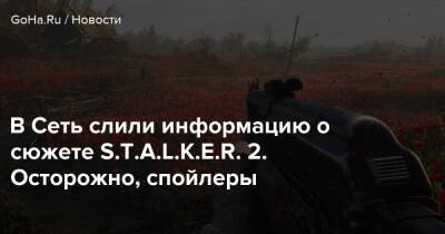 В Сеть слили информацию о сюжете S.T.A.L.K.E.R. 2. Осторожно, спойлеры - goha.ru