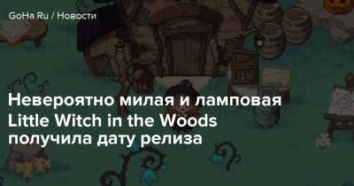 Невероятно милая и ламповая Little Witch in the Woods получила дату релиза - goha.ru - county Woods