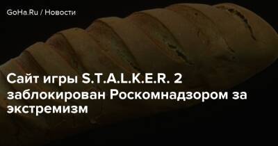 Сайт игры S.T.A.L.K.E.R. 2 заблокирован Роскомнадзором за экстремизм - goha.ru - Россия