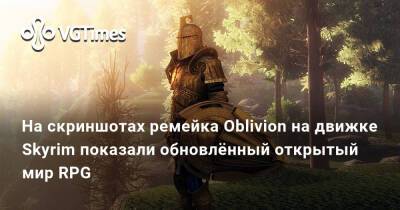 На скриншотах ремейка Oblivion на движке Skyrim показали обновлённый открытый мир RPG - vgtimes.ru