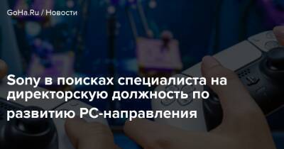 Sony в поисках специалиста на директорскую должность по развитию PC-направления - goha.ru